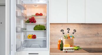 A cosa servono i cassetti del frigo? Nessuno li usa come dovrebbe
