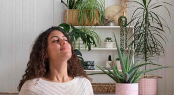 Questa piante sono state una vera scoperta, le ho messe in casa e l’aria è completamente cambiata: anche la mia allergia è migliorata