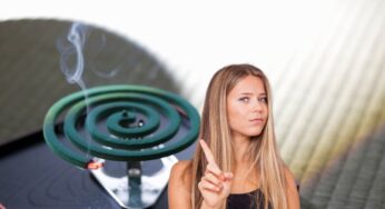 Come allontanare le zanzare da casa senza l’utilizzo di zampironi: questo trucchetto è quello definitivo